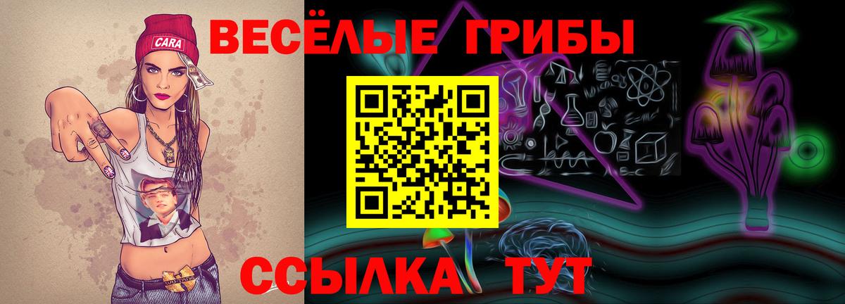 Псилоцибиновые грибы мицелий Набережные Челны